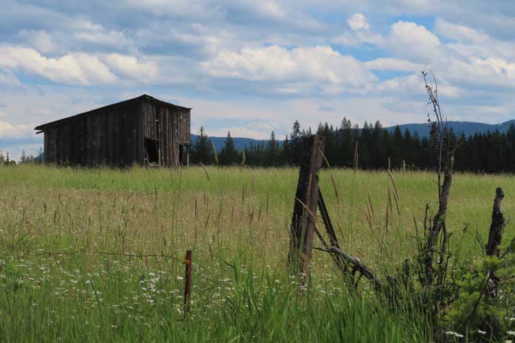 Where are the Gatekeepers?